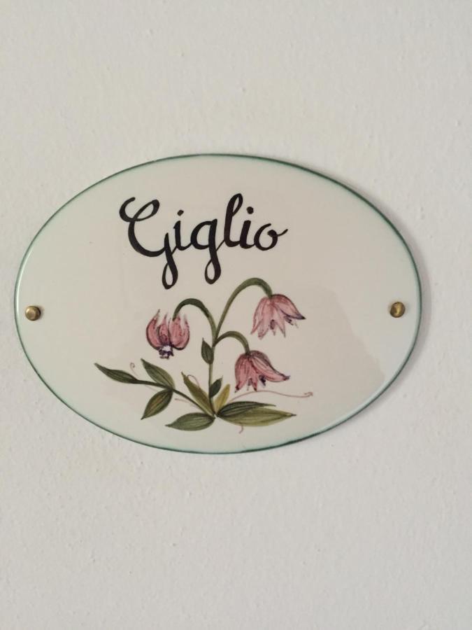 Qui Wolf Udine Hotel Collalto Luaran gambar